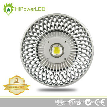 UL CE 80W LED Flood light Bridgelux COB IP 65